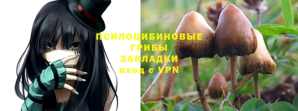 каннабис Корсаков