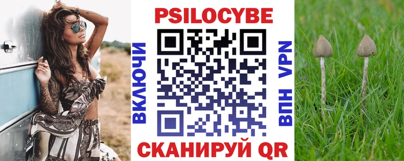 Псилоцибиновые грибы Magic Shrooms  Купить закладки  Карачев 