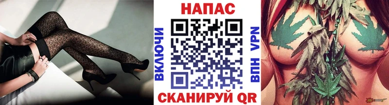 Купить  Карачев  Канабис планчик 